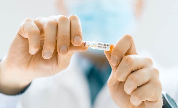 Comment réduire le comportement de prédation chez un chat domestique?