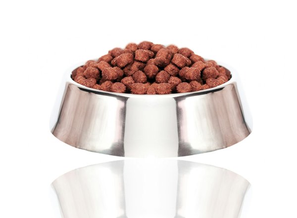 Croquettes pour chien : commandez un paquet hypoallergénique