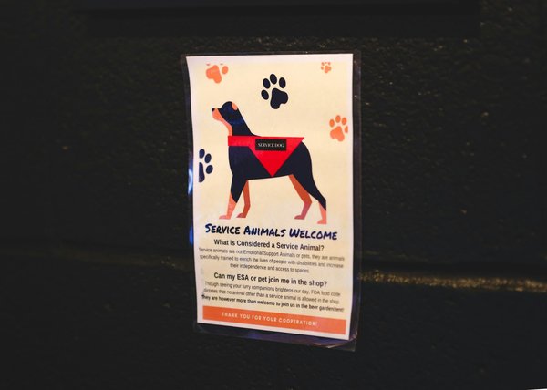 Accompagnement dans le deuil animal : guides et services